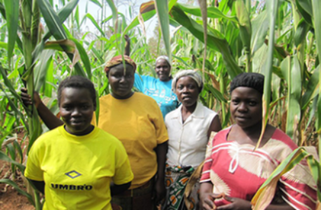 Just Earth partners with local churches and small-holder farmers to bring transformation to communities in rural Africa and beyond.  More....