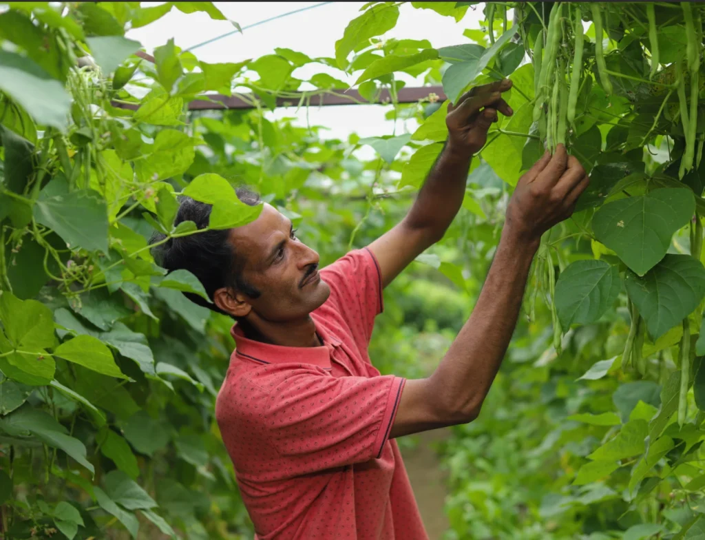 iDE believes that markets are the most powerful tool for creating prosperity, building resilience, and ultimately, More...